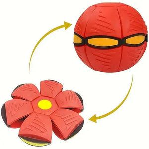 Throw Disc & Catch The Ball - KIDZMART