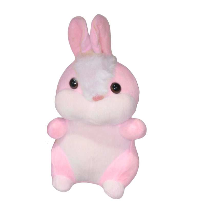 Cute Rabbit Stuff Toy 25cm
