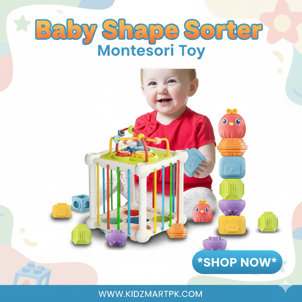 Baby Shape Sorter Montessori Toy